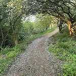 Gingerbread - Part Of The The Bay Village With Pool, Gym And Direct Access, Pub, Restaurant, Tennis And Meadows Walks * Filey