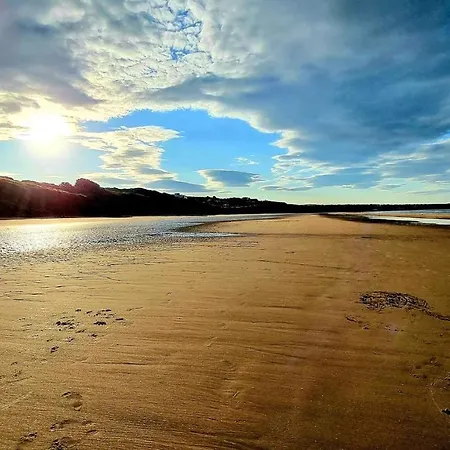 Gingerbread * Filey