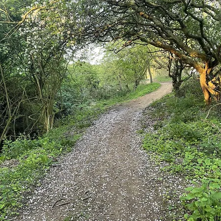 Gingerbread * 法利